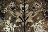 Petrified Wood Bookends - Oregon #95967-2